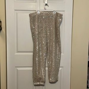 Loft Sparkle Pants
